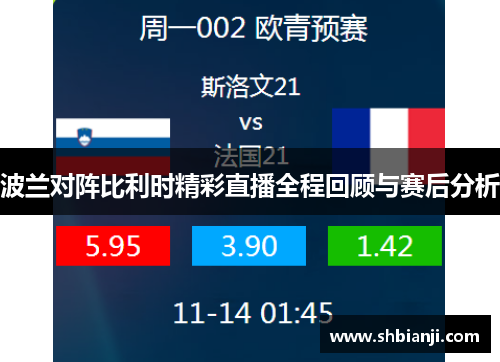 波兰对阵比利时精彩直播全程回顾与赛后分析